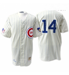 Mens Mitchell and Ness Chicago Cubs 14 Ernie Banks Authentic Cream 1969 Throwback MLB Jersey