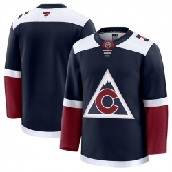 Men Colorado Avalanche Blank Navy 2024 25 Alternate Stitched Jersey