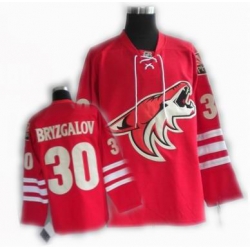 cheap Phoenix Coyotes jersey #30 BRYZGALOV jersey red