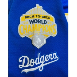 Back To Back Champions 24 25 Patch