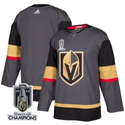 Men Women Youth Vegas Golden Knights Blank Gray 2023 Stanley Cup Champions Stitched Jersey