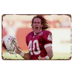 Arizona Cardinals Aluminum Sign 12x8 Inch Pat Tillman 001