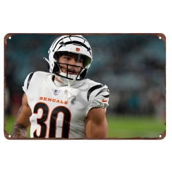 Cincinnati Bengals Aluminum Sign 12x8 Inch Chase Brown 002